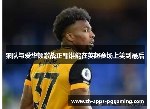 狼队与爱华顿激战正酣谁能在英超赛场上笑到最后